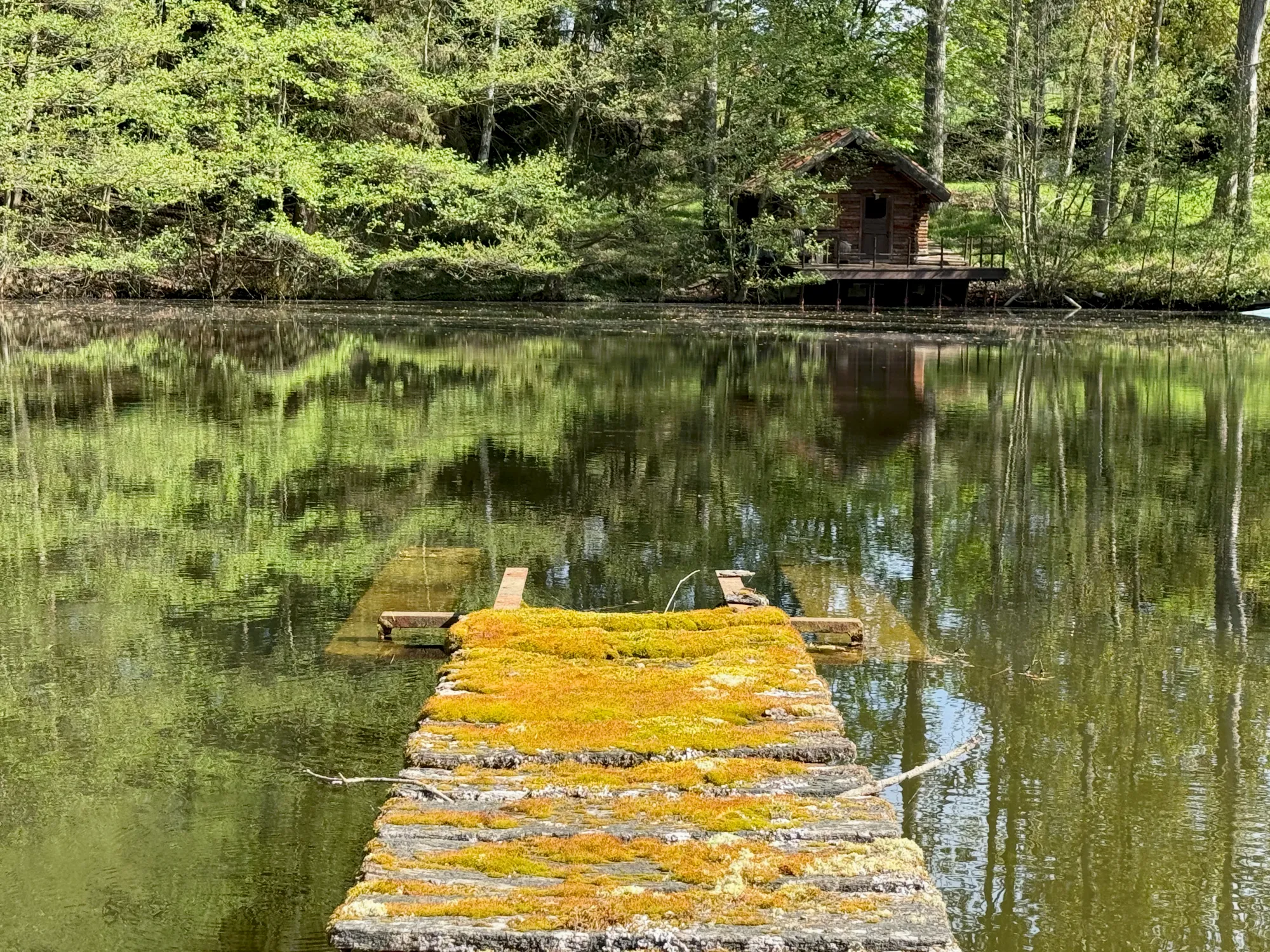 Le chalet en bois au bord de l'étang où sont nées Les Éditions Ressource, au bout d'un ponton de bois moussu, en forêt.
